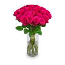 kytice růžových růží